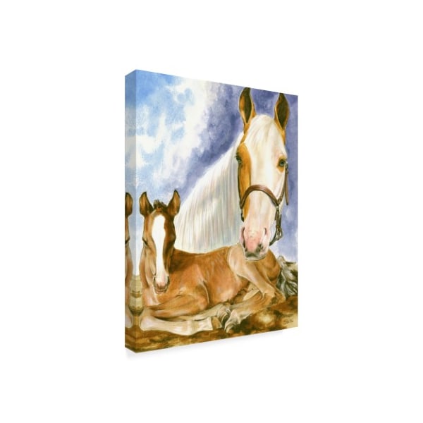 Barbara Keith 'Missouri Fox Trotter' Canvas Art,14x19